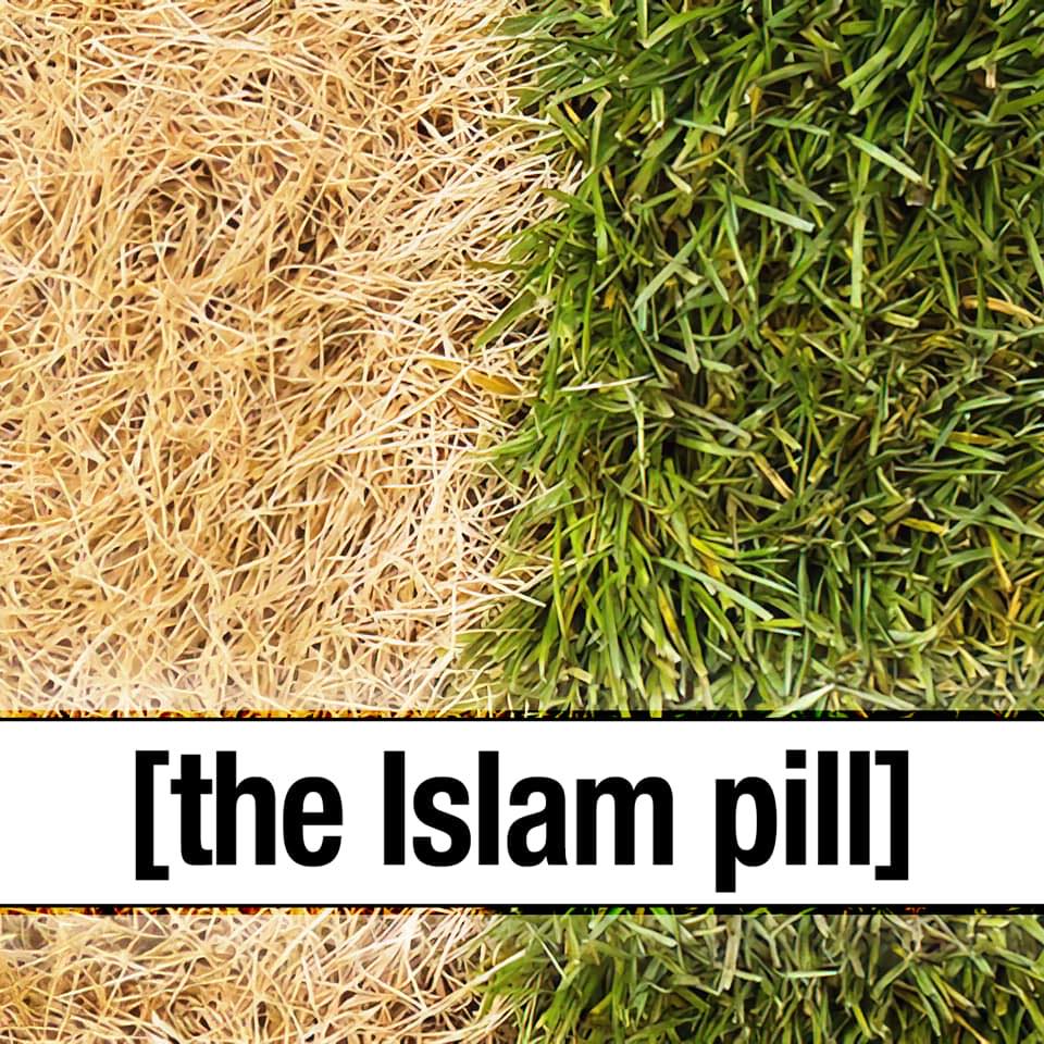the Islam pill avatar